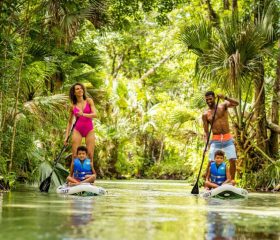 Ecotourism: Greater Orlando’s sustainable adventure