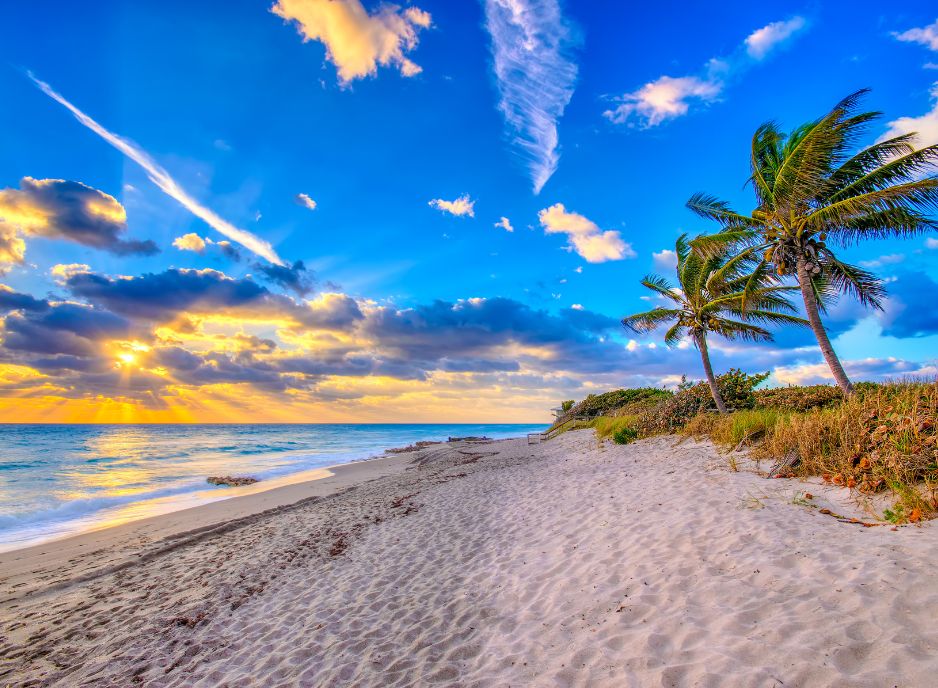 Palm Beach film industry is writing its own script