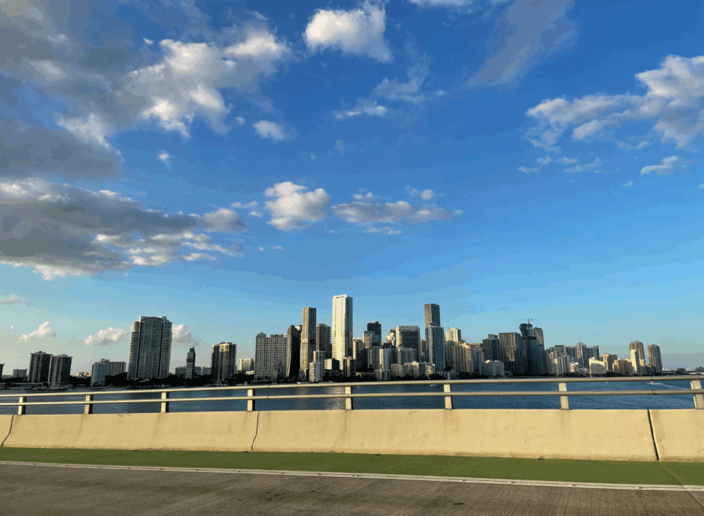 US leads in foreign direct investment amid global uncertainty