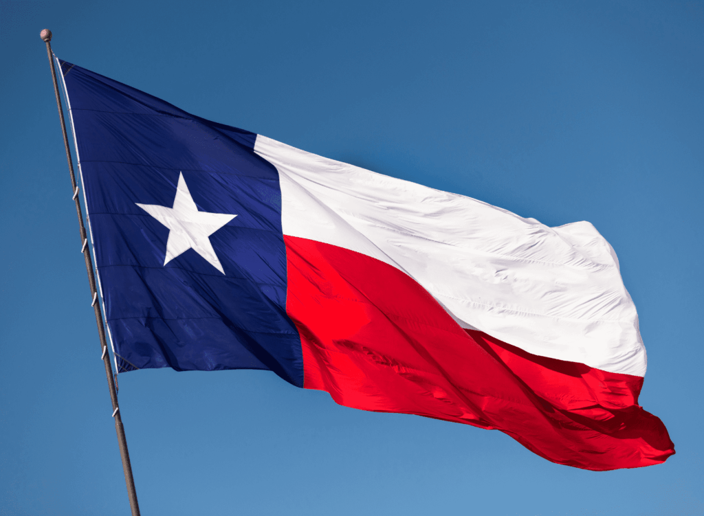 Election 2024: Major decisions in Texas