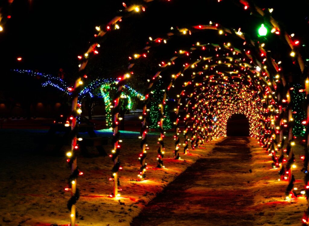 Tis the season of fun in Greater Fort Lauderdale