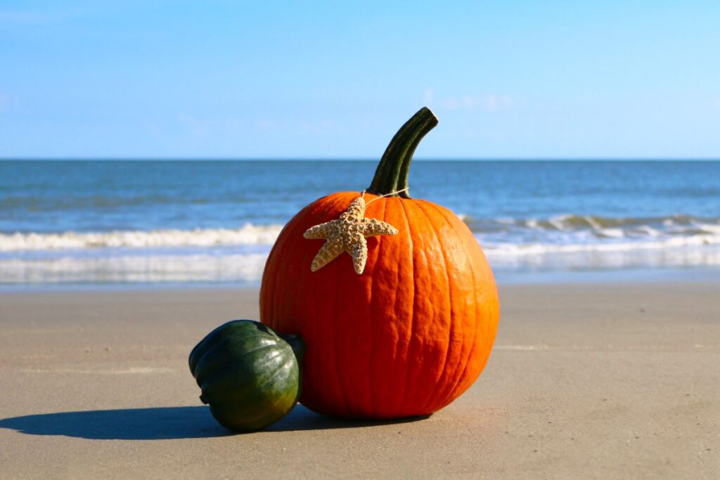 When seasons change … but not really