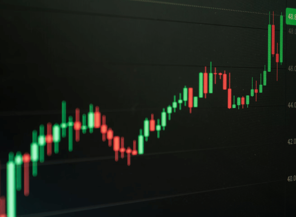 Hamptons Group doubles down on impact investing to navigate market shocks
