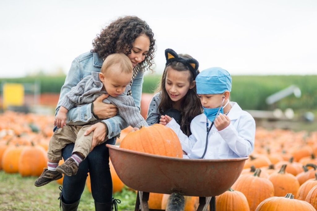 From pumpkins to apple picking, here are South Jersey’s Top 5 Fall Activities