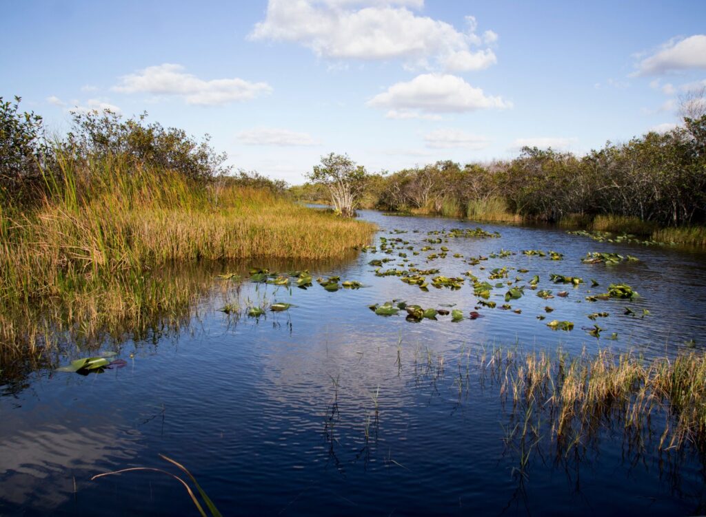 What $3.5 billion in new funding means for Everglades conservation efforts
