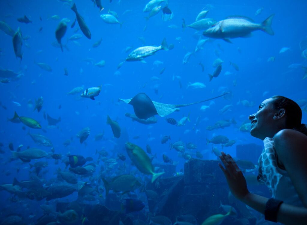 Pittsburgh’s arts and culture scene: A driving force in the city’s development