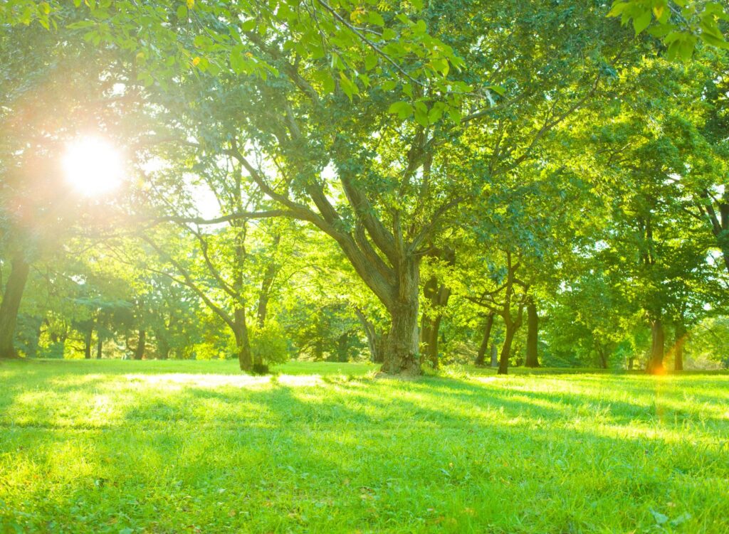 Face Off: Improving quality of life in the Atlanta region