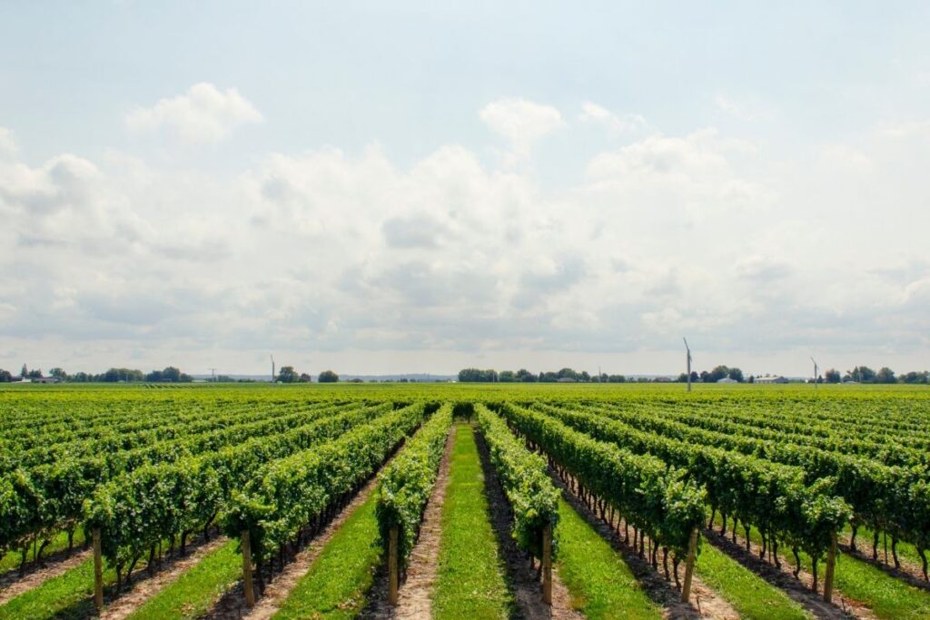 Is agricultural land the answer to affordable housing conundrum?