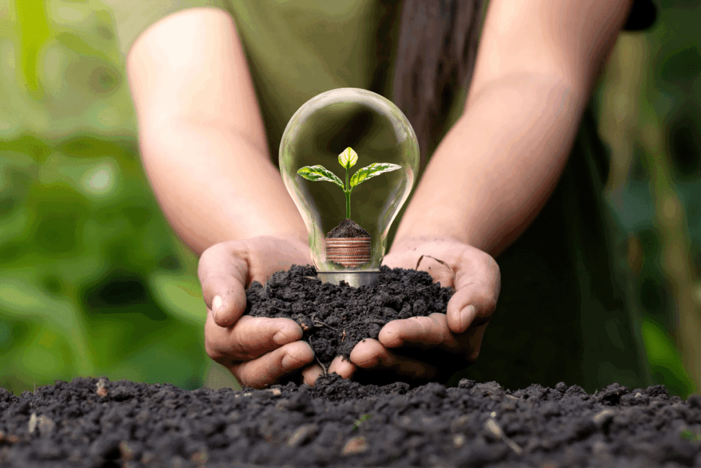 Energy companies and state government strive for carbon neutrality