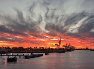 Port Houston Beauty Shots