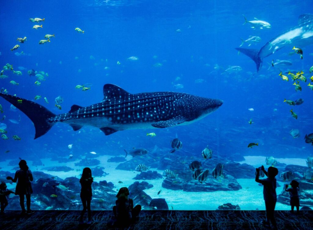 Tampa Bay’s deep dive into the blue economy