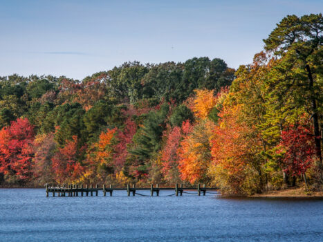 Image provided by Ocean County Board of Commissioners